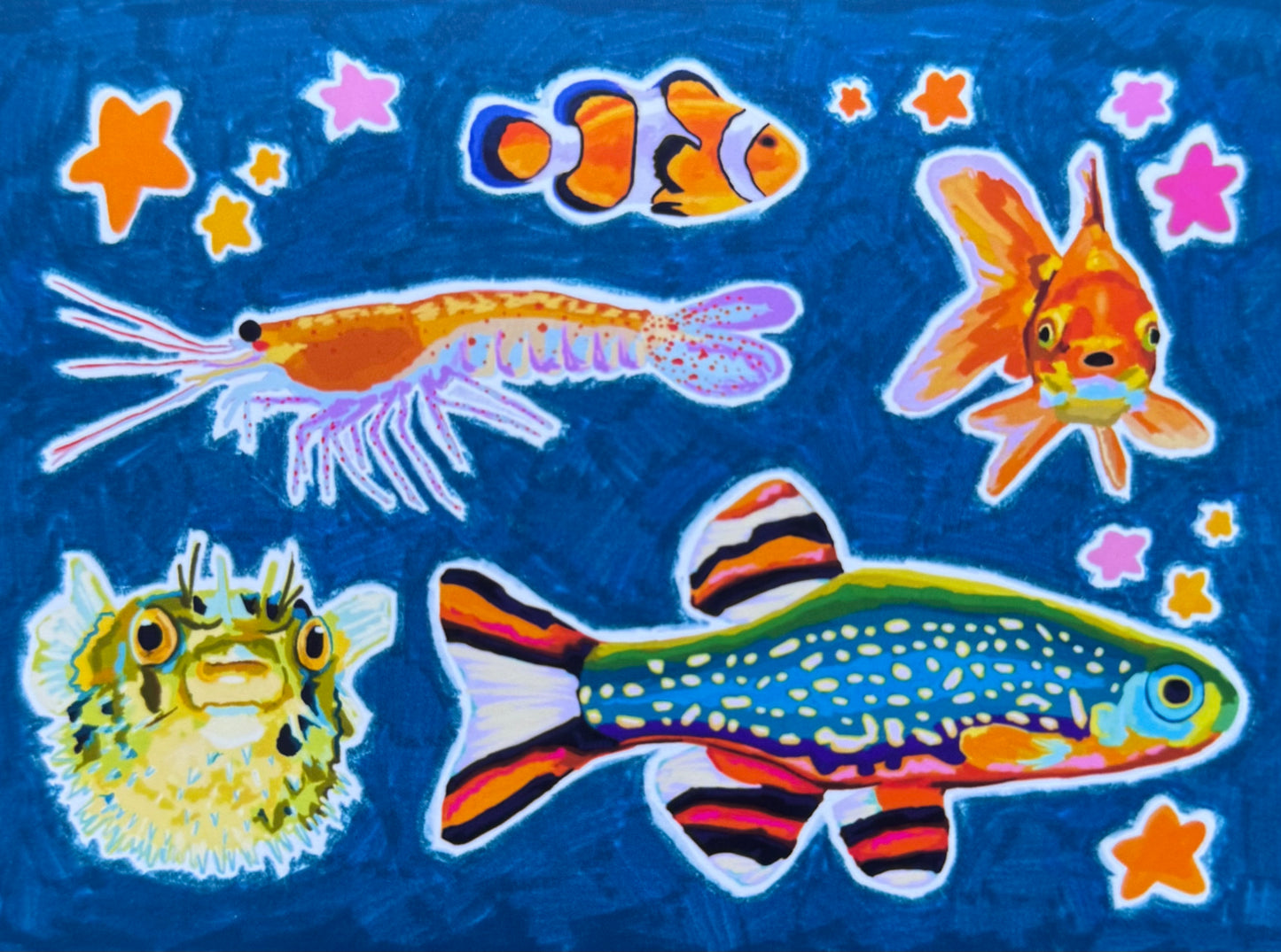 collage of fish, 4x5.33 matte print